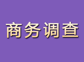 同安商务调查